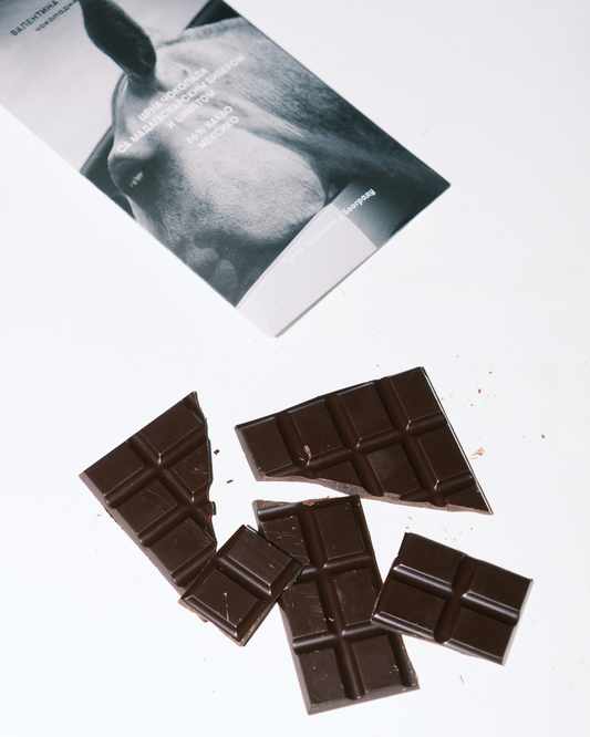 Crna čokolada sa madagaskarskim biberom i cimetom – delić čokolade na tanjiru pored pakovanja, ručno rađena čokolada iz Beograda.