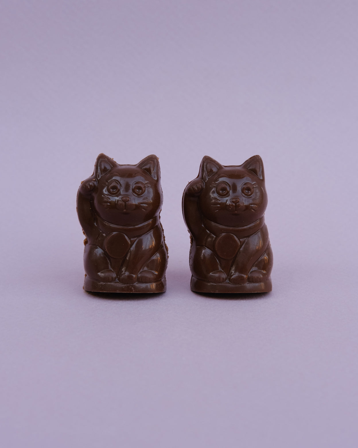 “Lucky cat” mačka